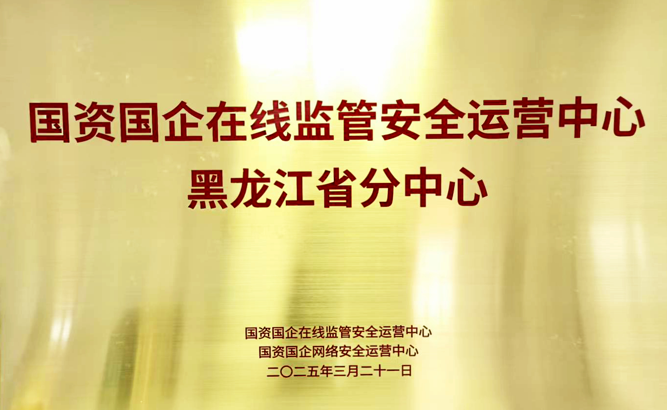 黑龙江省数字安全运营有限公司获授首批 “国资国企在线监管安全运营分中心”